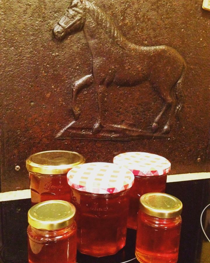 Chez L'Antiquaire Bed & Breakfast Hauterives Luaran gambar